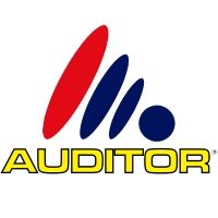 auditor-sistemas-de-gestao-e-controlo